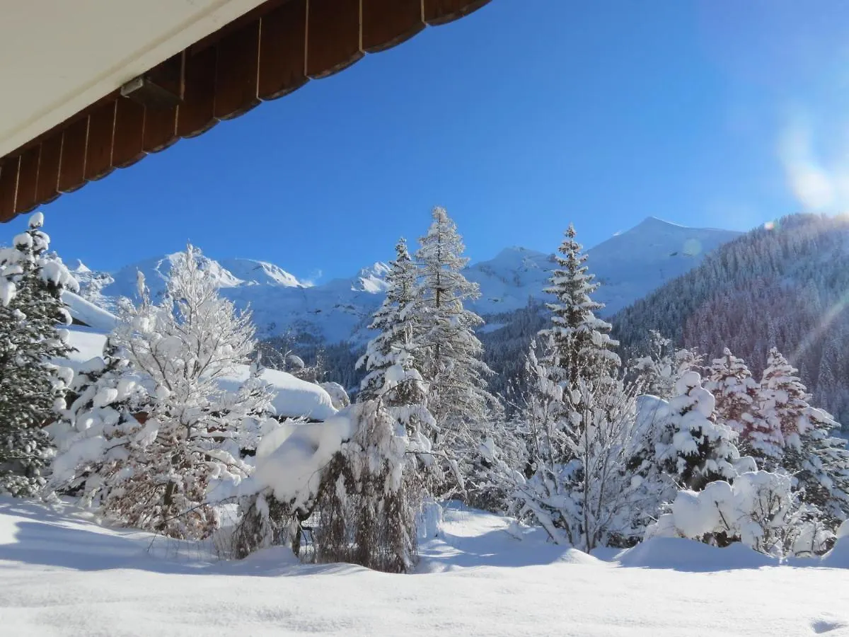 Lejlighed Chalet Gypaete La Clusaz